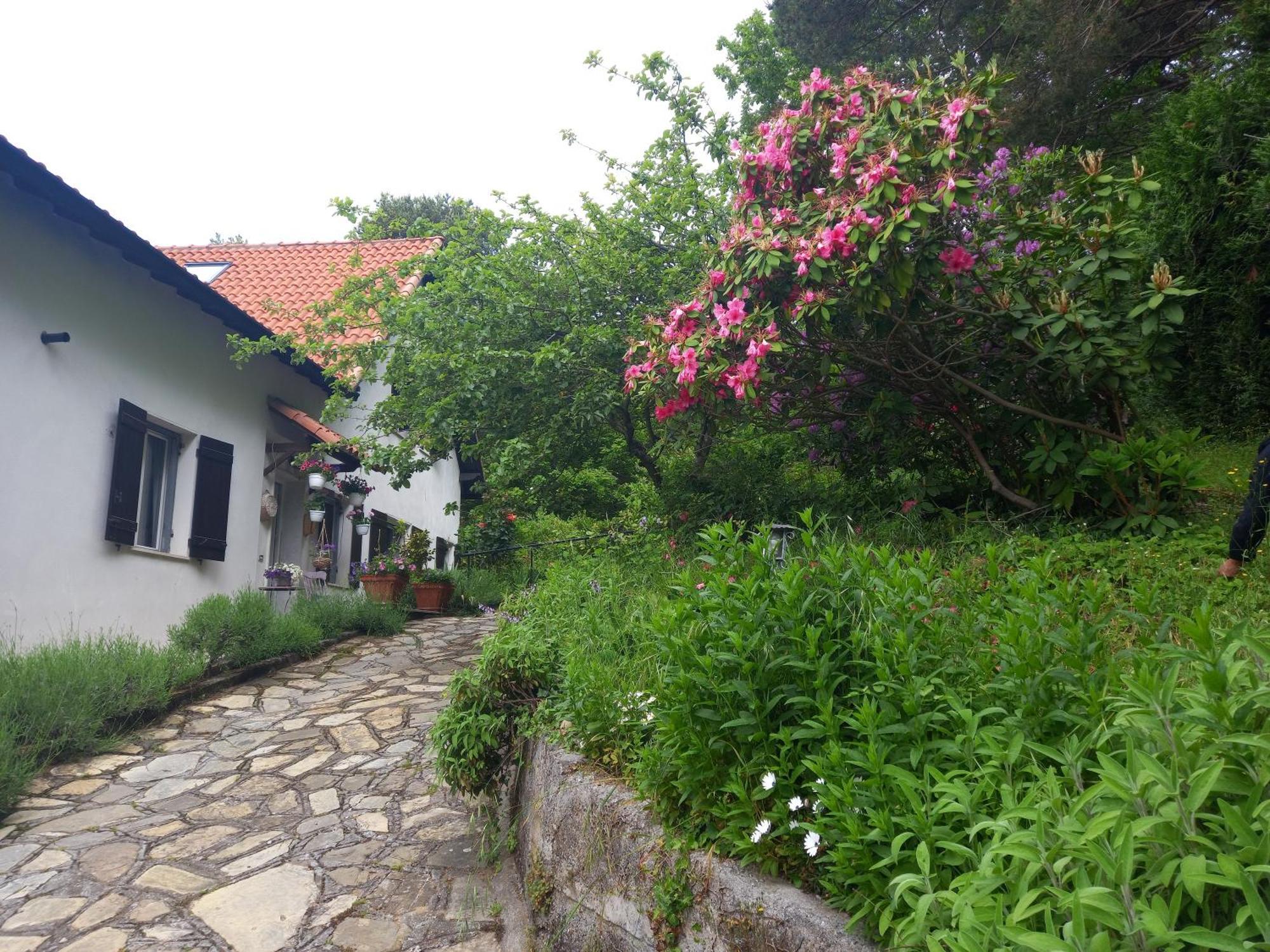 B&B Le Camelie Del Bosco Baiardo Exterior foto