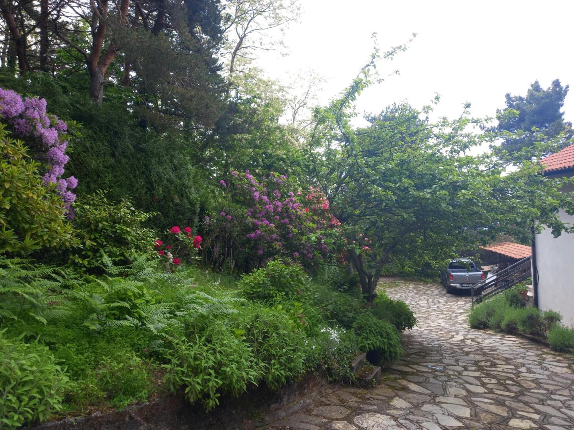 B&B Le Camelie Del Bosco Baiardo Exterior foto